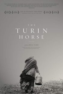 دانلود فیلم The Turin Horse 201110493-151960577