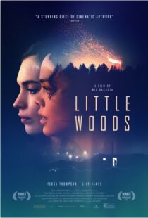 دانلود فیلم Little Woods 201822292-46301257