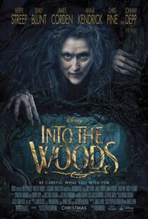 دانلود فیلم Into the Woods 20143675-466150462