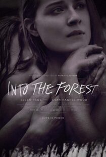 دانلود فیلم Into the Forest 20159776-2009826345