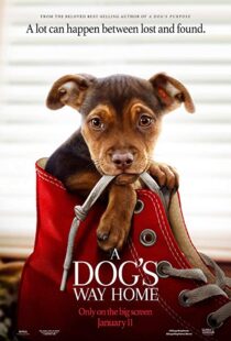 دانلود فیلم A Dog’s Way Home 20198110-1706023899