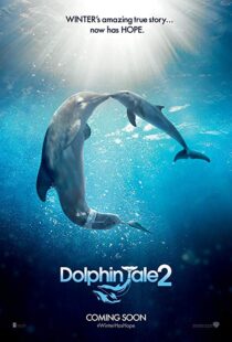 دانلود فیلم Dolphin Tale 2 201421312-634161888