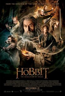 دانلود فیلم The Hobbit: The Desolation of Smaug 2013196262-832942461