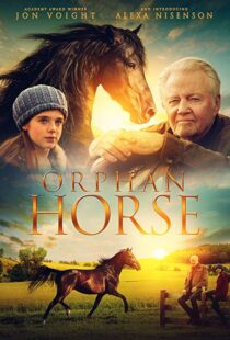 دانلود فیلم Orphan Horse 20188125-997049674