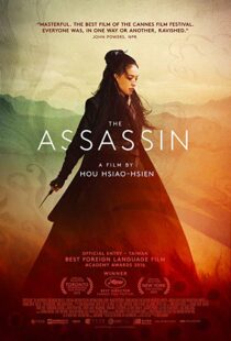 دانلود فیلم The Assassin 201513760-1300956083