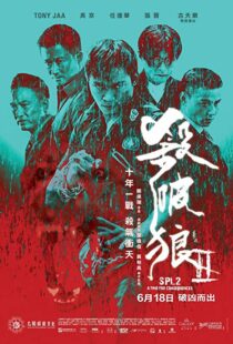 دانلود فیلم Kill Zone 2 20151845-1885278877