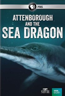 دانلود مستند Attenborough and the Sea Dragon 20188753-693280633
