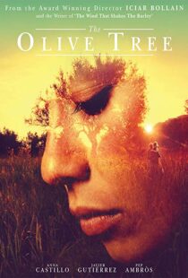 دانلود فیلم The Olive Tree 201615934-1294731926