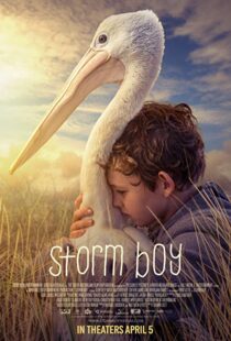 دانلود فیلم Storm Boy 20199003-598490082
