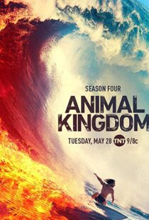 دانلود سریال Animal Kingdom18326-579682973