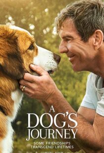 دانلود فیلم هندی A Dog’s Journey 201915660-52314298