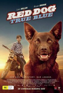دانلود فیلم Red Dog: True Blue 20168899-1339089309