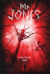 دانلود فیلم Mr. Jones 201337611-2132793569