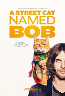 دانلود فیلم A Street Cat Named Bob 201641621-1437776097