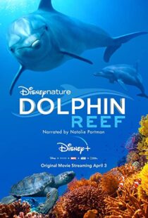 دانلود مستند Dolphin Reef 201838724-614285369