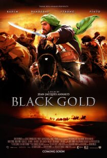 دانلود فیلم Day of the Falcon 201144386-1231122011