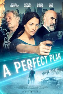 دانلود فیلم A Perfect Plan 202043957-961561235