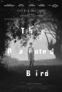 دانلود فیلم The Painted Bird 201943285-2015795979