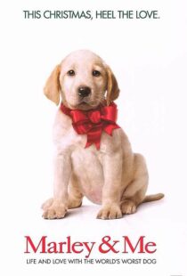 دانلود فیلم Marley & Me 200849029-1147634779