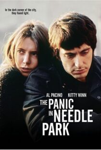 دانلود فیلم The Panic in Needle Park 197150558-926282107