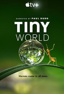 دانلود مستند Tiny World52124-2052933308
