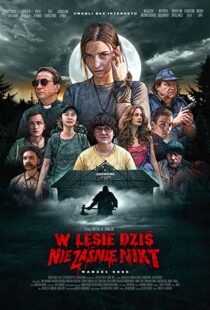 دانلود فیلم Nobody Sleeps in the Woods Tonight 202053095-1529608845