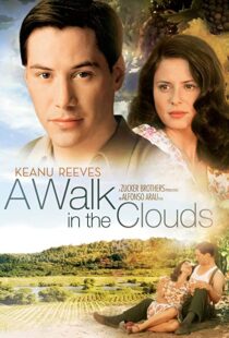 دانلود فیلم A Walk in the Clouds 199553815-495111840