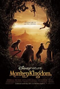 دانلود مستند Monkey Kingdom 201554583-1630938564