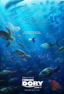 دانلود انیمیشن Finding Dory 201658678-557857775