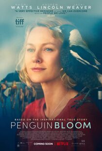 دانلود فیلم Penguin Bloom 202073302-1503741597