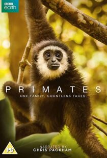 دانلود مستند Primates77865-1941724751