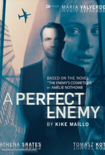 دانلود فیلم A Perfect Enemy 202082295-955632772
