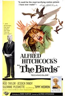 دانلود فیلم The Birds 196382372-1248139880