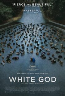 دانلود فیلم White God 201482109-487060939