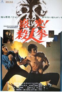 دانلود فیلم The Street Fighter 197483791-118883416
