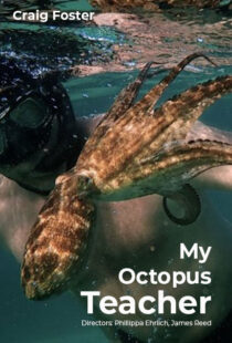 دانلود مستند My Octopus Teacher 202082343-335607644