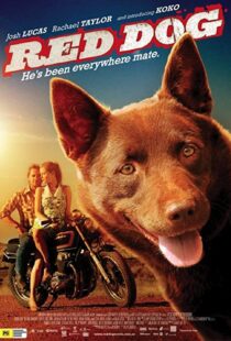 دانلود فیلم Red Dog 201187414-815609525