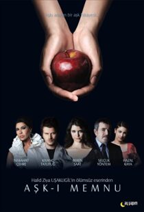 دانلود سریال Forbidden Love94309-1563342975