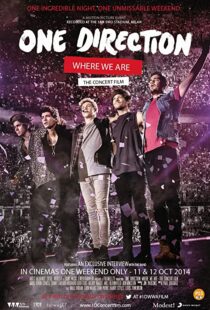 دانلود مستند One Direction: Where We Are – The Concert Film 2014100436-2056482831