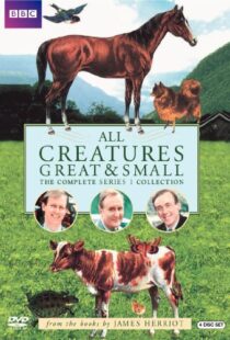 دانلود سریال All Creatures Great and Small94610-682986375