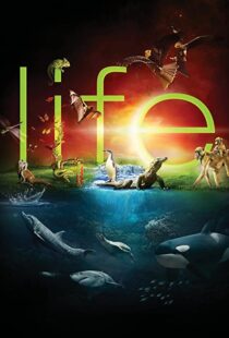 دانلود مستند Life96080-1009117555