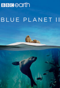 دانلود مستند Blue Planet II100194-1698372532