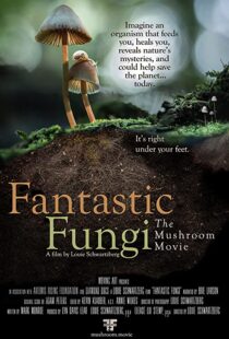 دانلود مستند Fantastic Fungi 2019100518-1690191263