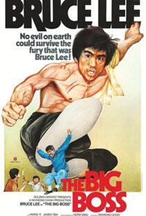 دانلود فیلم The Big Boss 197197560-1802515101