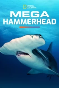 دانلود مستند Mega Hammerhead 2016103122-1317727516