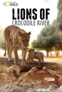 دانلود مستند Lions of Crocodile River 2007103328-1710456153