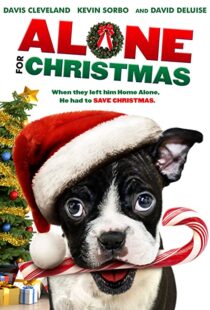 دانلود فیلم Alone for Christmas 2013107883-343425058