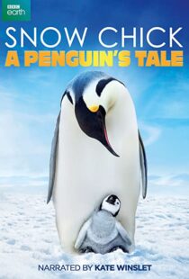دانلود مستند Snow Chick: A Penguin’s Tale 2015109604-980849959