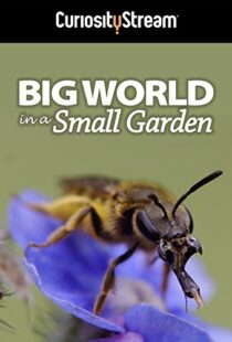دانلود مستند Big World in a Small Garden 2016102965-259173751
