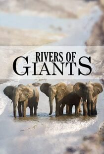 دانلود مستند Rivers of Giants 2005102245-1707506129